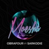 Moesha (feat. Sarkodie) - Single