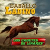 Los Cadetes de Linares - El Corrido Del Gato