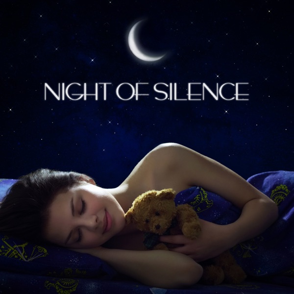 Night of Silence: Sleep & Dream, Meditation for Better Sleep, Peaceful Night, Moments of Sleeping, Slow & Healing Sleep, Happy Morning, Cure Insomnia