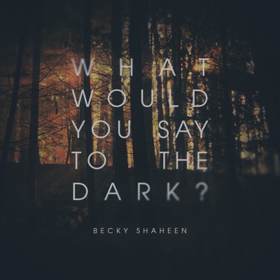 What Would You Say to the Dark - Single