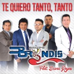 Grupo Bryndis - Te Quiero Tanto, Tanto (feat. Diana Reyes)