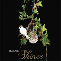 The Story Bridge — Breckin