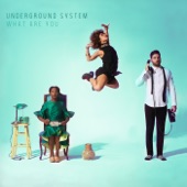 Underground System - Go