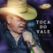 Causa Perdida - Toca do Vale lyrics