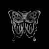 Black Butterflies - Single