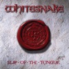 Slip of the Tongue (20th Anniversary Remaster)