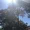 Sun Shines (feat. Afternoon) - north takoda lyrics