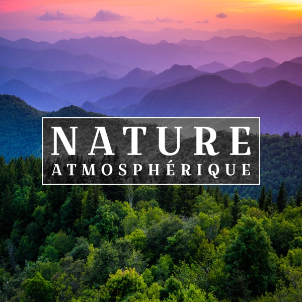 Nature atmosphérique: Détente avec des sons de la nature, Méditation dans la forêt, Des sons d'eau apaisante