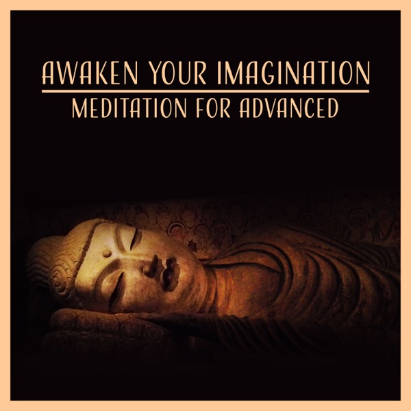 Awaken Your Imagination: Meditation for Advanced – Vipassana, Mindfulness, Mantra, Transcendental, Chakra, Kundalini, Tantra, Ho'oponopono