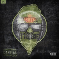 Capital (feat. Junk) - Single - PROJECT TRYBE