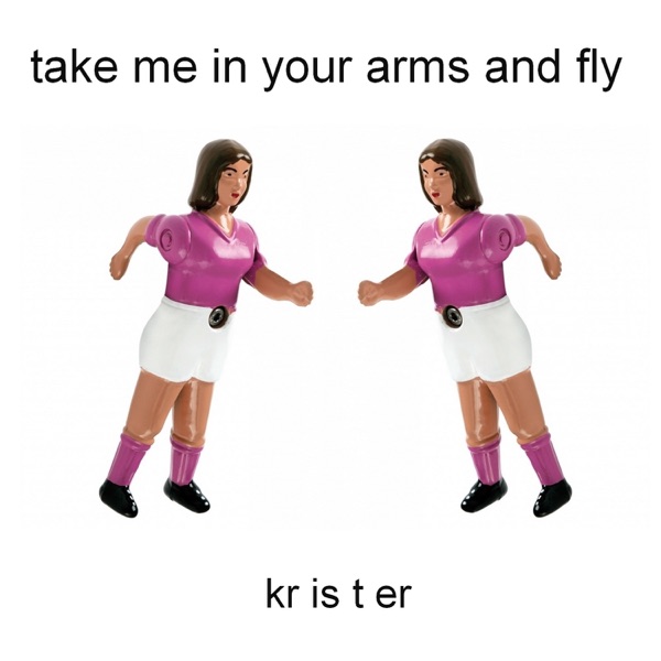 Take Me in Your Arms and Fly - Single