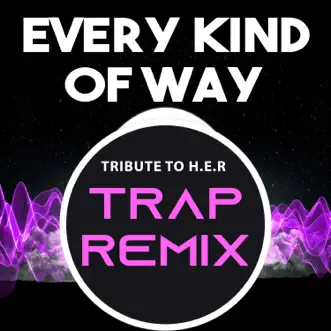 Every Kind of Way (Tribute to H.E.R) [Trap Remix] - Single by The Trap Remix Guys album reviews, ratings, credits