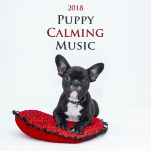 Puppy Calming Music 2018 - World's Most Relaxing Music