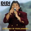 Cintaku Di Kualanamu - Single