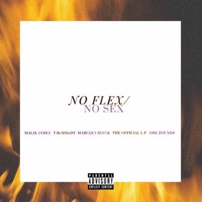 No Flex No Sex (feat. T.Remmedy, Marcqui Blvck, the Official L.P. & Dre Zounds) - Single