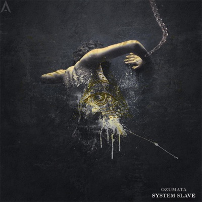 System Slave - Single