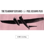 The Teardrop Explodes - The Poppies In the Field