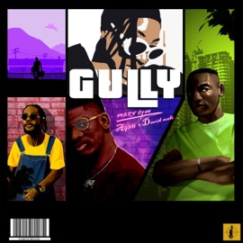 Gully (feat. Ayüü & David Meli) Marv OTM