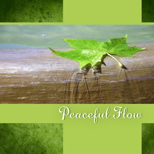 Peaceful Flow: Soul Birth, Constant Connection, Meditation & Yoga, Vinyasa Practice, Experience of Spiritual Silence