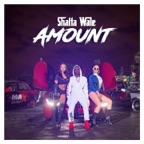 Amount