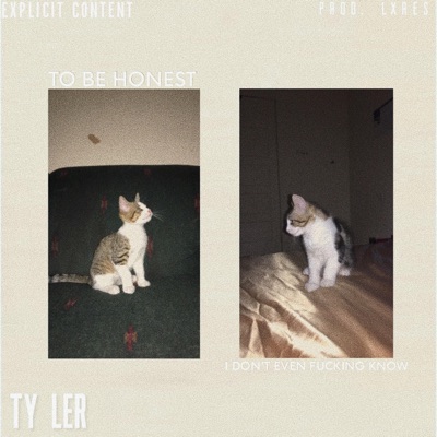 Tbh Idefk (feat. Ty Ler) - Single