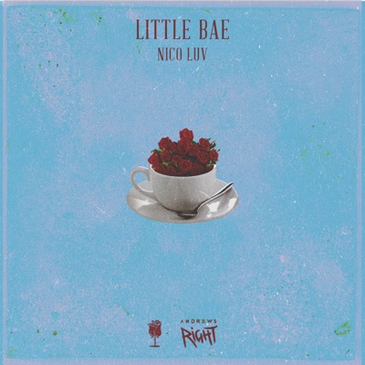 Little Bae - Single