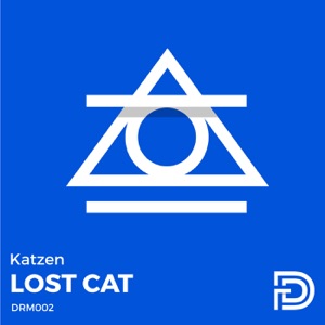 Lost Cat