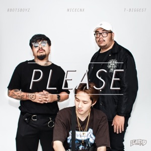 Please (feat. T-BIGGEST, 8BOTSBOYZ & NICECNX)