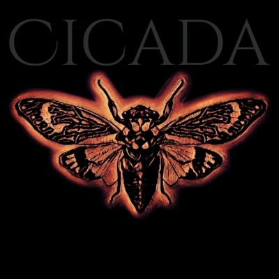 Cicada
