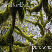 Pure Wind