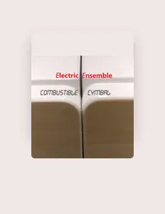 Ouça Electric Ensemble, assista a videoclipes, leia a biografia, veja as datas das turnês e mais!