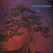 Bonsai Universe - Why Are My Dreams