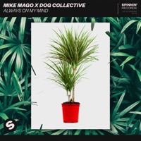 Always on My Mind - Single - Mike Mago & Dog Collective