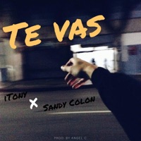 Te Vas (feat. Itony) - Single - Sandy Colon
