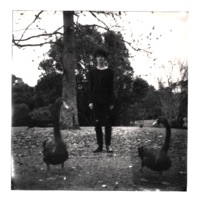 Album cover for Midnight (feat. Claire Cottrill) by Maxwell Young