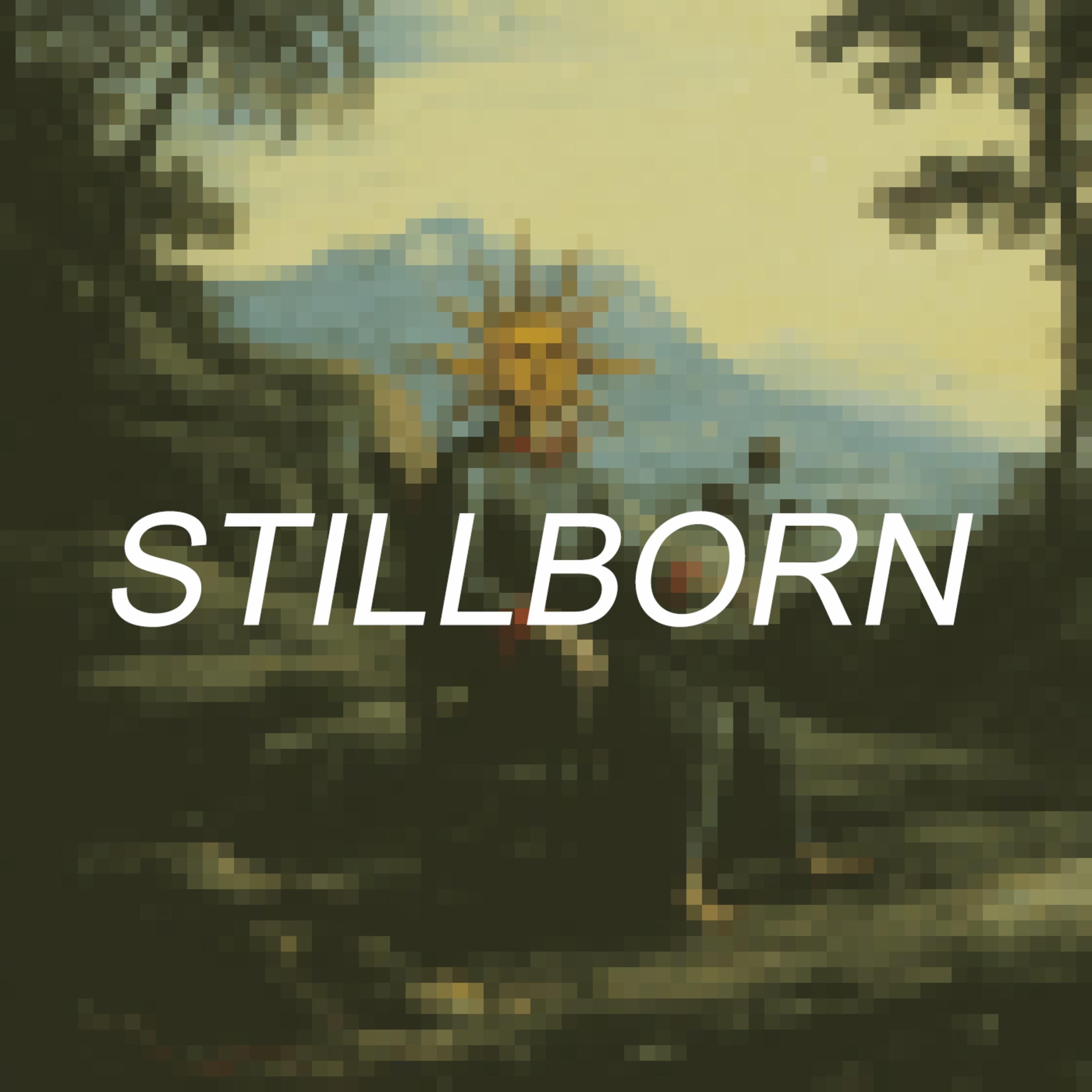 Stillborn