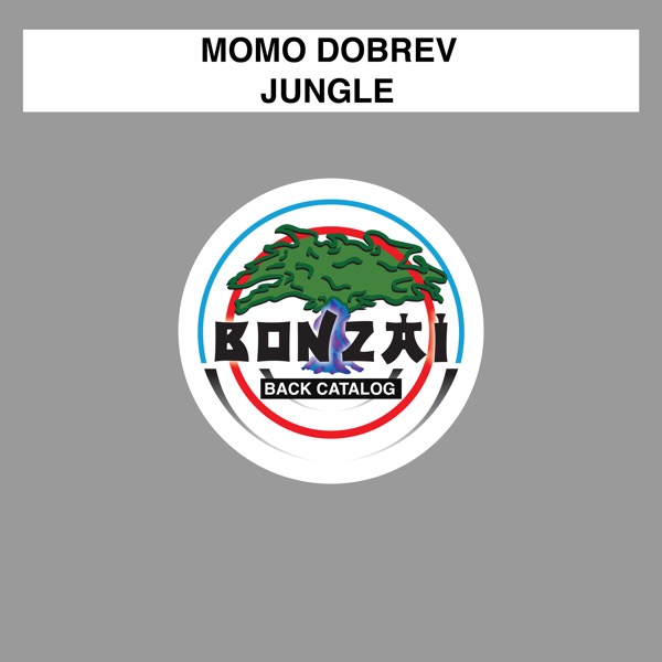 Jungle - Single