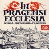 In Pragensi ecclesia