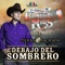 Debajo del Sombrero (feat. Banda Tierra Sagrada) artwork