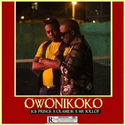 Owonikoko - Single - Olamide