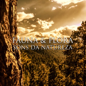 Fauna & Flora: Sons da Natureza - Relaxantes Música para Massagem, Música para Meditação Transcendental para Zen Jardim, Yoga