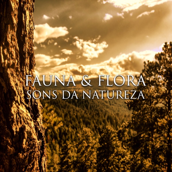 Fauna & Flora: Sons da Natureza - Relaxantes Música para Massagem, Música para Meditação Transcendental para Zen Jardim, Yoga