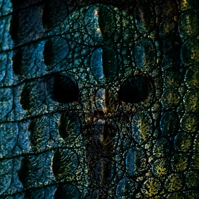 Reptilian Song - Single
