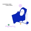 Wandering Wires - Waiting