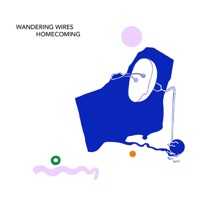 Wandering Wires - Waiting