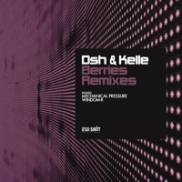 Berries (Remixes) - Single - DSH & Kelle