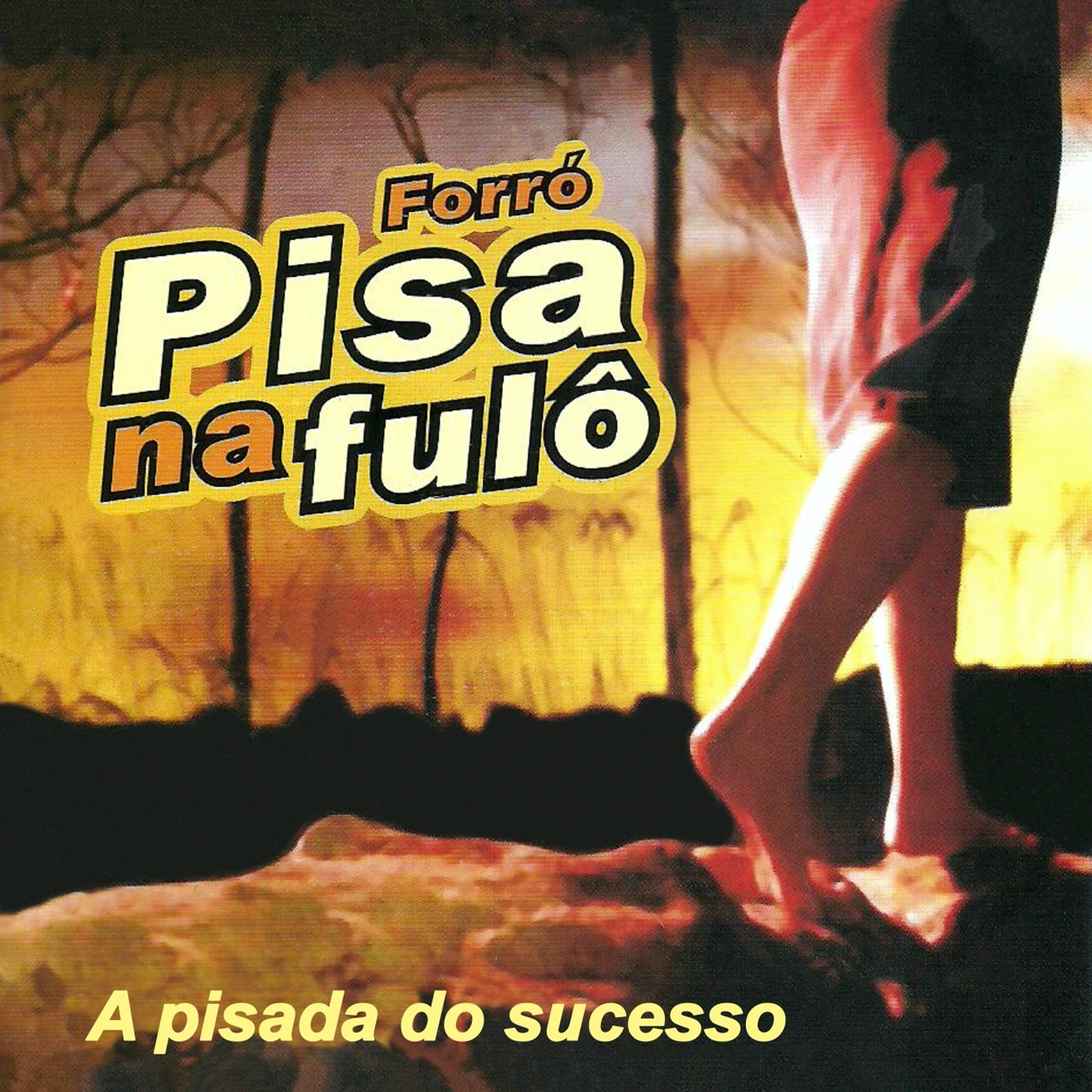 Forró Pisa Na Fulô - Meu Coração Te Espera