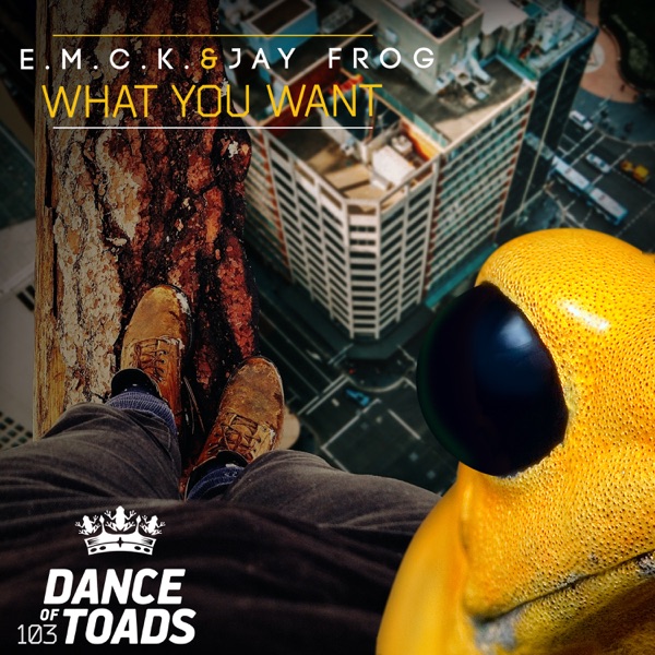 What You Want - EP