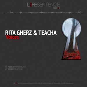 Voices - Single