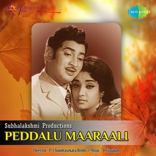 Peddalu Maaraali (Original Motion Picture Soundtrack) - Single